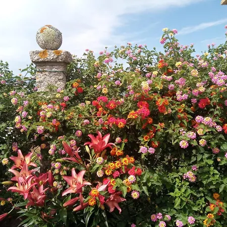 Casa Con Jardin En Primera Linea De Playa او غروف