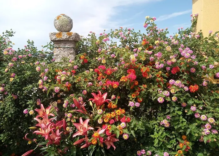 Casa Con Jardin En Primera Linea De Playa O Grove