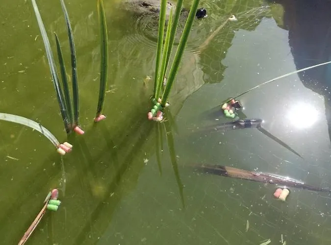 Casa Con Jardin En Primera Linea De Playa O Grove